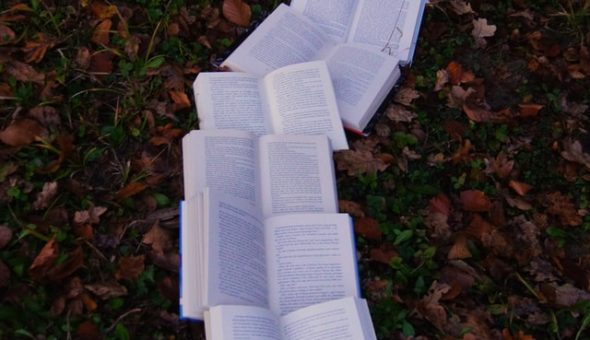 Photo of books on the ground, creating a path